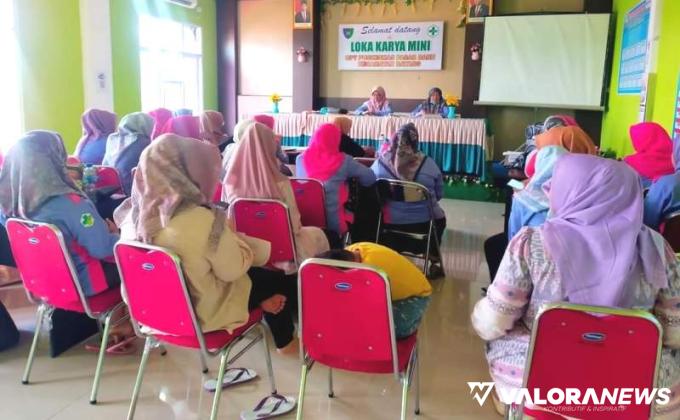 BIDAN DESA Diminta Cakap Gunakan Aplikasi Entri Data