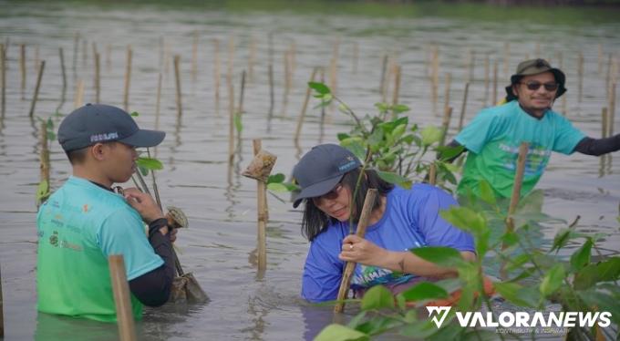 Biofarma Group Tanam 5.500 Bibit Mangrove di Daerah Rawan Abrasi