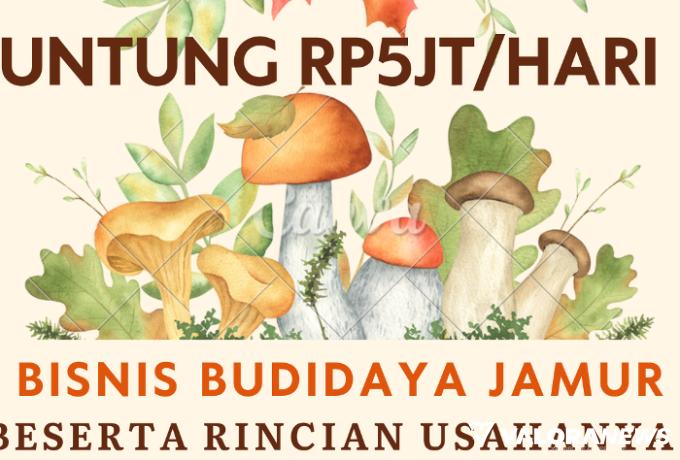 Bisnis Usaha yang Dikejar-kejar Pembeli Ini Untung Rp5 Juta Sehari, Berikut Rinciannya!