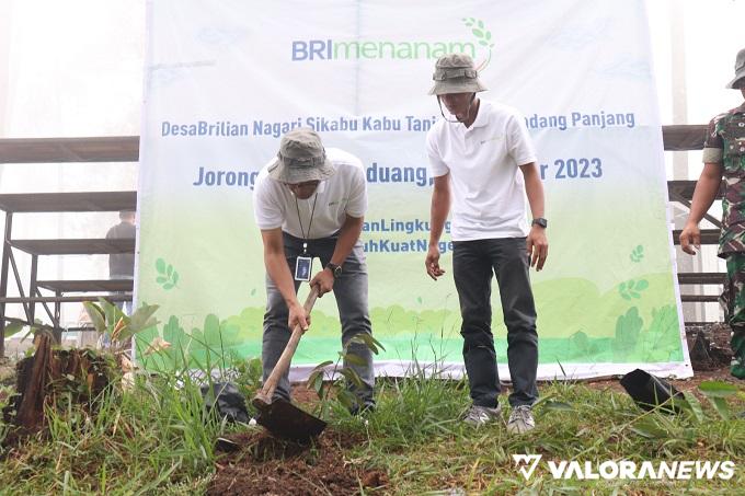 BRI Menanam 110 Durian Montong di Nagari Sikabu-kabu Tanjung Haro Padang Panjang