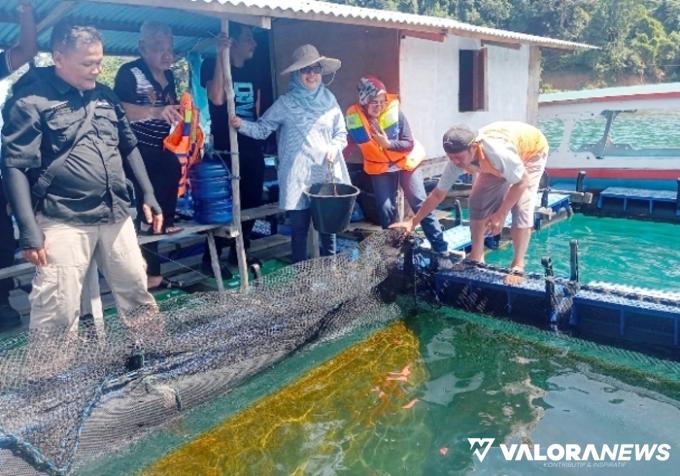 BUDIDAYA LOBSTER: DKP Sumbar Lakukan Pemetaan di Laut Pessel