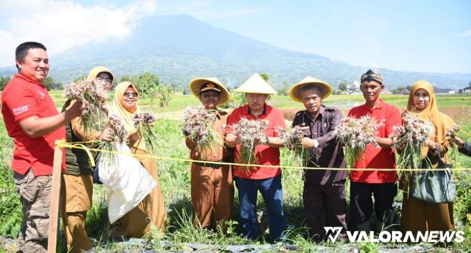 Bupati Agam Ingatkan Keltan Tunas Bawang Merah Lengkapi Legalitas, Ini Tujuannya