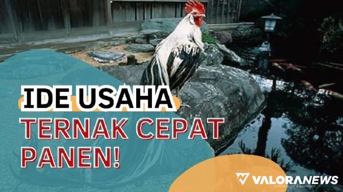 Cepat Panen! Tekuni 3 Ide Usaha Ternak Ini, Dijamin Bakal Ketagihan