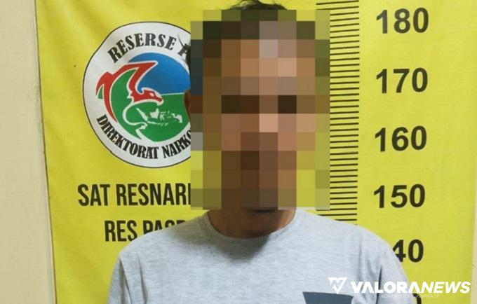 Dua Pengedar Ganja dan Sabu Dibekuk, Barang Bukti Capai 30 Kg