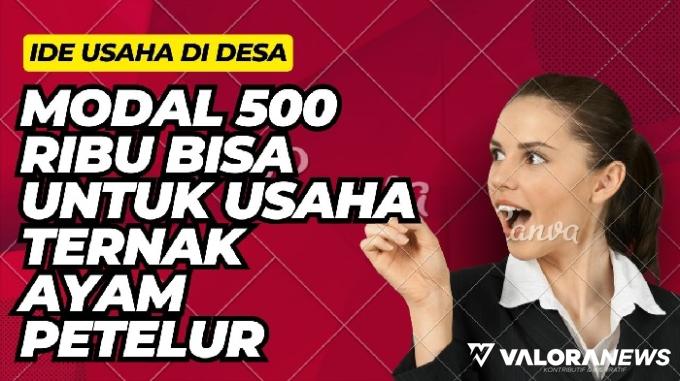 Gokil! Modal Rp500 Ribu Sudah bisa Buka Usaha Ayam Petelur di Desa, Ini Caranya