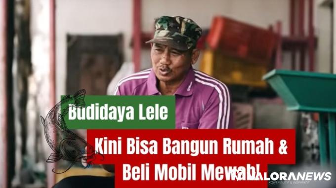 Hasil Budidaya Lele bisa Beli Mobil & Bangun Rumah! Ternyata Begini Tipsnya