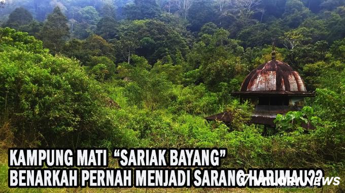 Horor! Sejarah Kampung Mati di Sariak Bayang Kabupaten Solok, Puluhan Tahun Ditinggalkan...