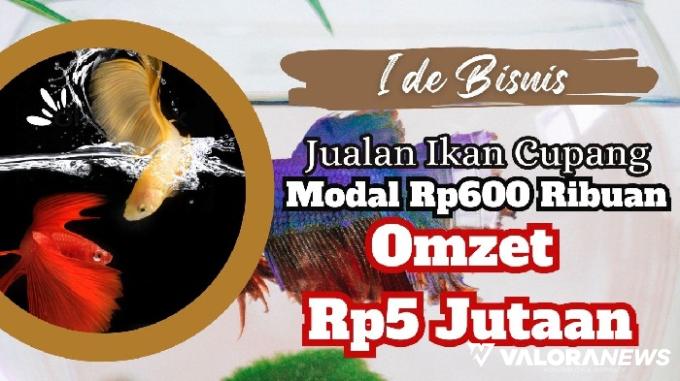 Ide Bisnis Ikan Cupang! Uang Rp630 Ribu Bisa Jadi Rp5 Jutaan, Begini Caranya!