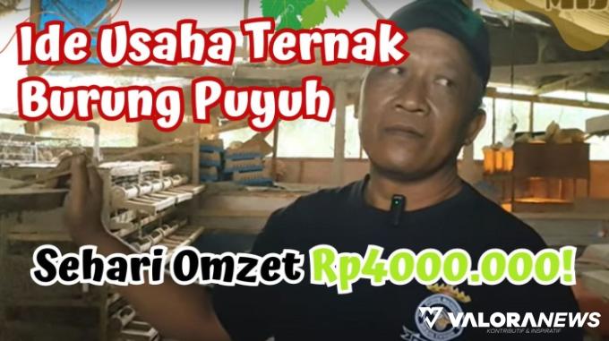 Omzet Sehari Tembus Rp4 Juta, Ide Usaha Ternak Burung Puyuh Patut Dicoba, Ini Tipsnya!