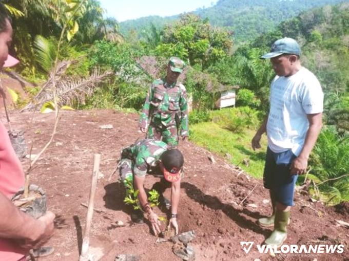 JAGA LINGKUNGAN: Satgas TMMD Pessel Tanam Pohon Bersama  Warga