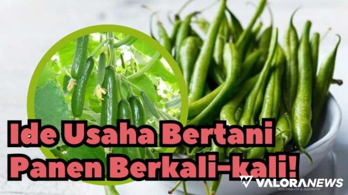 Jalan 40 Hari, Panen Cuan Jutaan Rupiah! Simak 5 Ide Usaha Bertani Ini