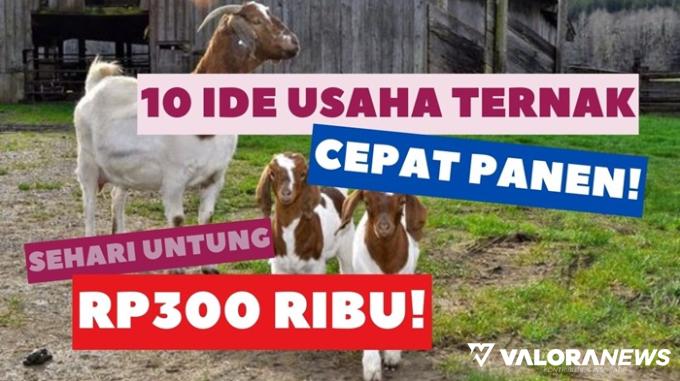 Menarik! Peluang Usaha Ternak Ini Hasilkan Rp300 Ribu Sehari, Langsung Eksekusi!