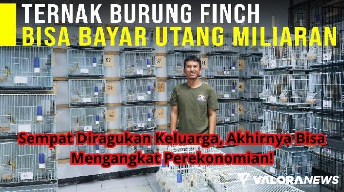 Kisah Sukses Pedagang Burung Finch, Lunasi Hutang Milyaran Rupiah! Ini Tipsnya