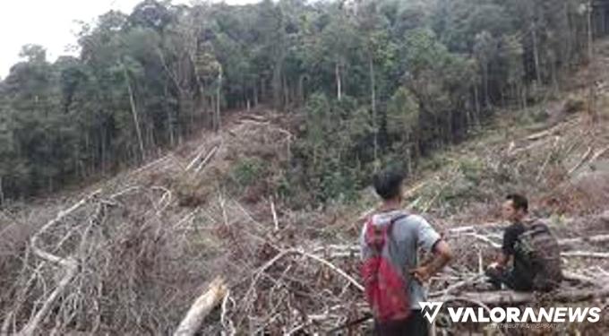 KPHP Pessel Imbau Masyarakat Awasi Illegal Logging