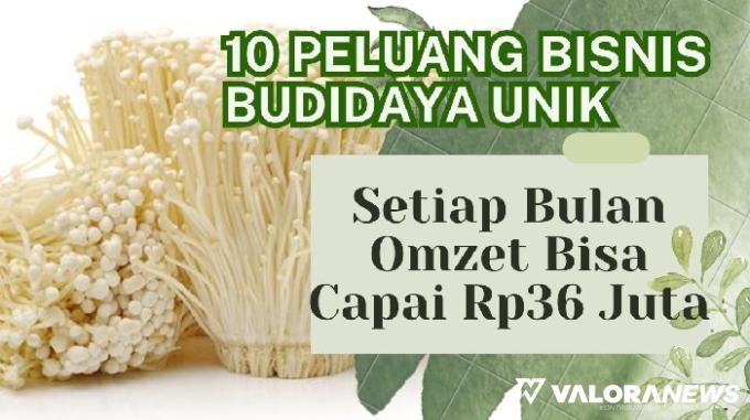 Minim Pesaing! Ini 10 Peluang Bisnis Budidaya Unik, Sebulan Cuan Rp36 Juta