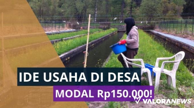 Modal Rp150 Ribu, Tapi Untung 100%! Simak 3 Ide Usaha di Desa Berikut