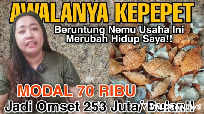 Modal Rp70 Ribu, Sekarang Raup Ratusan Juta Rupiah Sebulannya! Apa sih Peluang Usahanya?