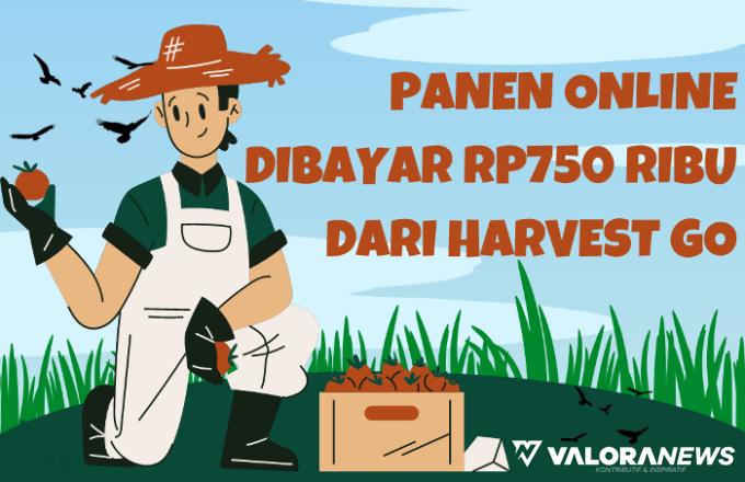 Panen! Dibayar DANA Gratis Rp750 Ribu dari Game Penghasil Uang Harvest Go, Ini Caranya