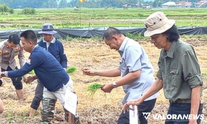 PEMKAB PESSEL Gelar Rakor Musim Tanam di Lengayang