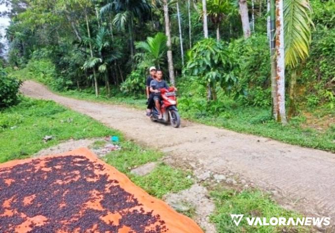 PEMKAB PESSEL Janji Beton Jalan Nagari Koto Rawang Tahun Depan