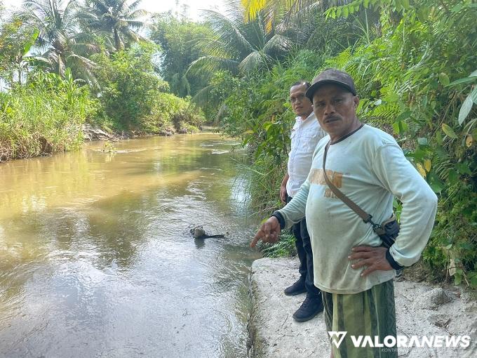 Pemprov Sumbar Sebar Ratusan Ribu Bibit Ikan Garing untuk Masyarakat Sintuak