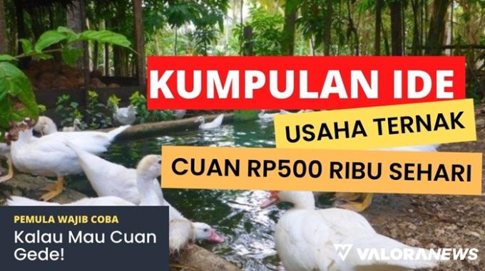 Penghasilan Rp500 Ribu Sehari! Kok bisa? Cobain 8 Ide Usaha Ternak Ini