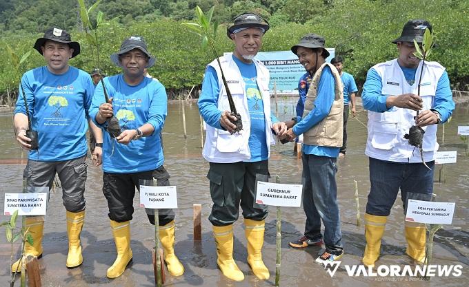 Peringatan Hari Mangrove Sedunia, Pertamina Patra Niaga Luncurkan TJSL di Teluk Buo