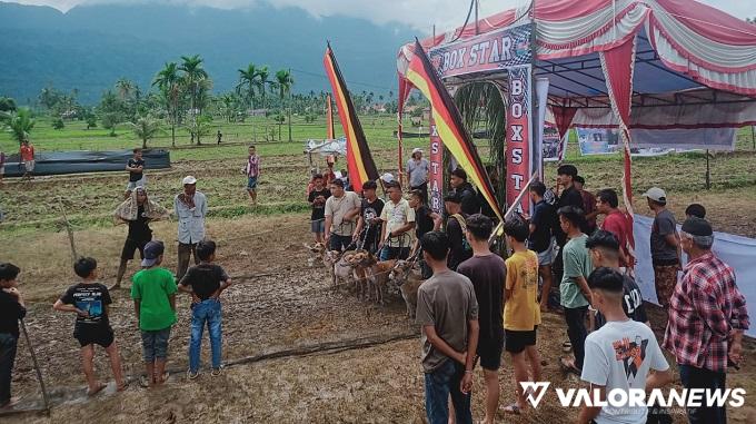Peserta dari Pulau Sumatera dan Jawa Ikuti Alek Gadang Buru Babi di Nagari Koto Kaciak