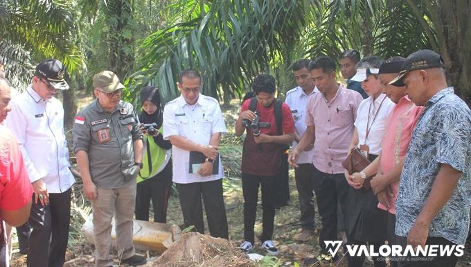 Produksi Gula Merah dari Batang Sawit, BRIN Telisik Kendala di Tingkat Petani