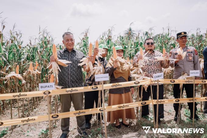 PRODUKTIVITAS LAHAN, Rusma Yul Anwar: Penyuluh Harus Intens Dampingi Petani