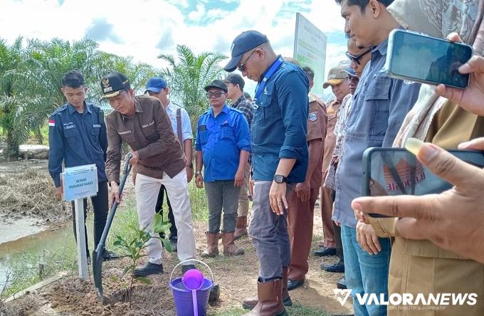 PT BPP Tanam Ratusan Pohon Penghijauan di DAS Batang Sikabau