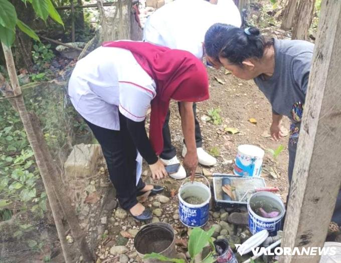 PUSKESMAS Rahul Tapan Lakukan Pemberantasan Sarang Nyamuk