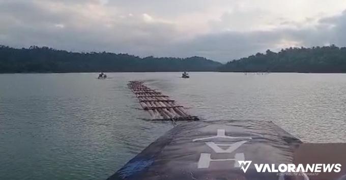 Ratusan Kayu Balok Dihanyutkan di Sungai Gulamo, DLHK Riau Pastikan Asal Kayu dari...