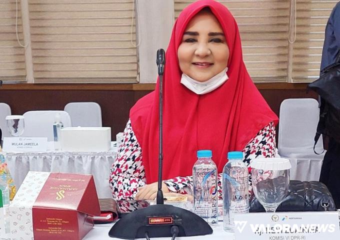 RDP Komisi VI dengan PLN, Nevi Zuairina Sebut Kompor Listrik Berbiaya Tinggi