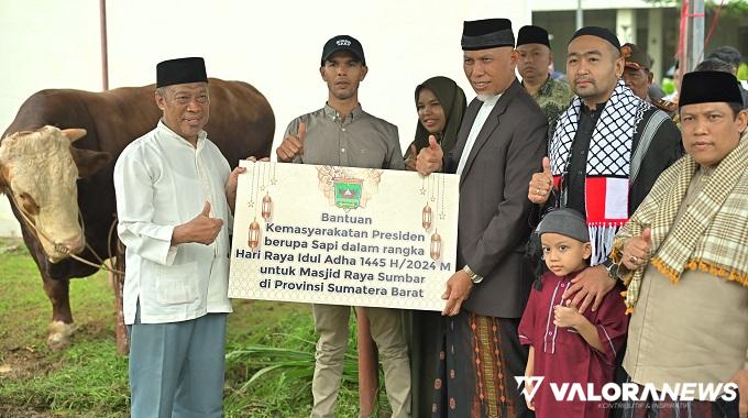 Sapi Kurban Presiden Jokowi untuk Sumbar Seberat 1052 Kg