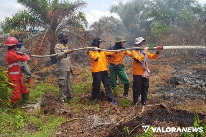 Satgas Karhutla Riau Padamkan 9 Titik Api, Ini Rincian Lokasinya