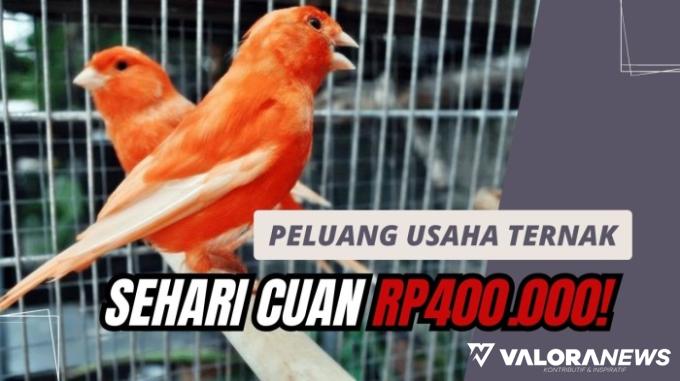 Sehari Cuan Rp400 Ribu, Emang Bisa? Cobain 4 Ide Usaha Ternak Berikut