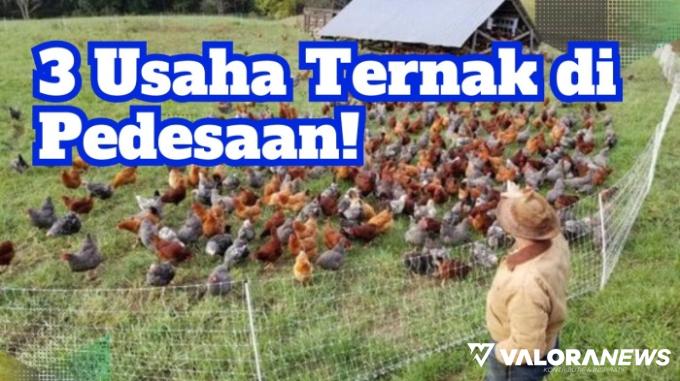 Sehari Untung Rp300 Ribu di Pedesaan, Simak 3 Ide Usaha Ternak Ini