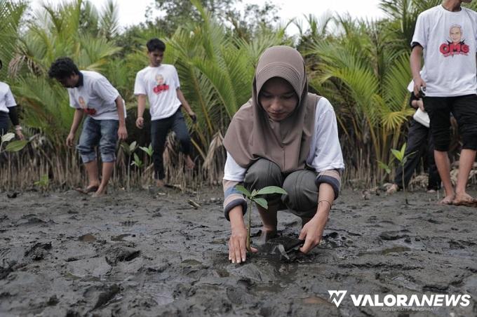Sukarelawan OMG Sumbar Gandeng Pemuda Pariaman Tanam Mangrove di Talao Apar Pantai Penyu