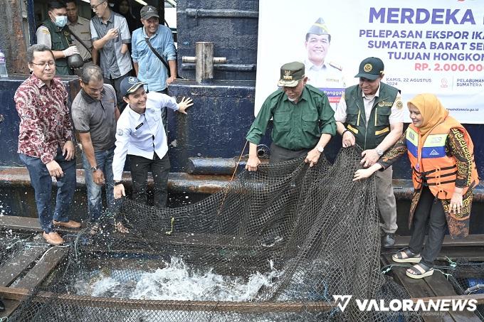 Sumbar Ekspor 11 Ton Ikan Kerapu ke Hongkong, Ini Jenis yang Dijual