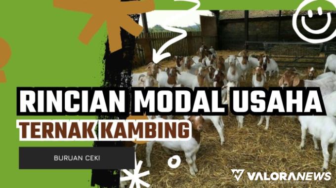 Ternak Kambing, Sekali Panen Cuan Rp50 Juta Lebih! Ini Rincian Modal Usahanya