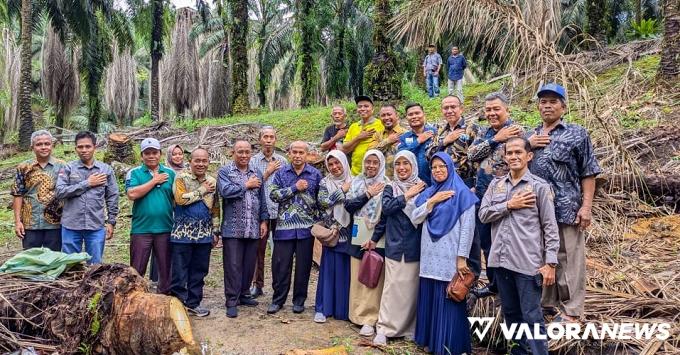 Tim BB POM, Bappelitbangda Sumbar dan Peneliti Unand Tinjau Keamanan Pangan Gula Merah...