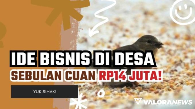 Wow! Jalankan 3 Ide Bisnis Ini di Desa, Sebulan bisa Untung Rp14 Juta Lebih