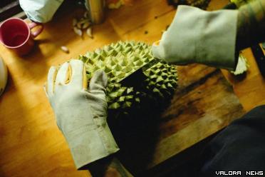 Ilustrasi cara membelah durian.