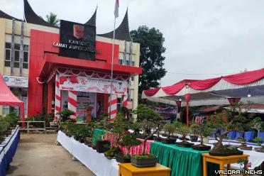 Aneka tanaman bonsai dipamerkan di halaman kantor camat IV...