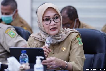 Kepala Dinas ESDM Riau, Evarefita