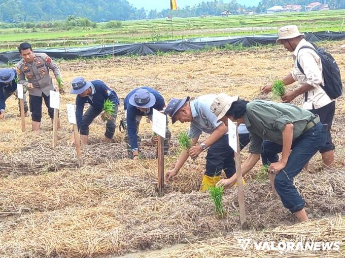 Bupati Pessel Rusma Yul Anwar saat gelaran Sekolah Lapang bagi para petani, di Nagari Koto Berapak, Kecamatan Bayang, Selasa (4/6/2024). FOTO: Dok Diskominfo Pessel