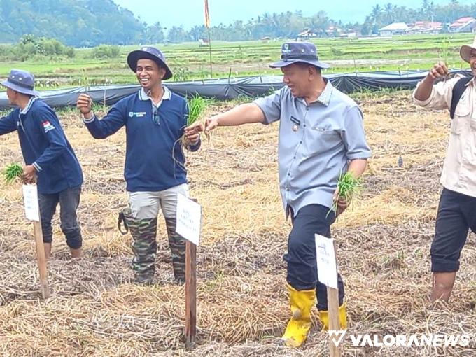 Bupati Pessel Rusma Yul Anwar saat gelaran Sekolah Lapang bagi para petani, di Nagari Koto Berapak, Kecamatan Bayang, Selasa (4/6/2024). FOTO: Dok Diskominfo Pessel